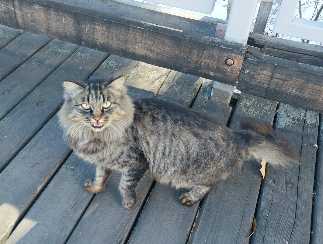 Almaty. - Murat Bukaev 