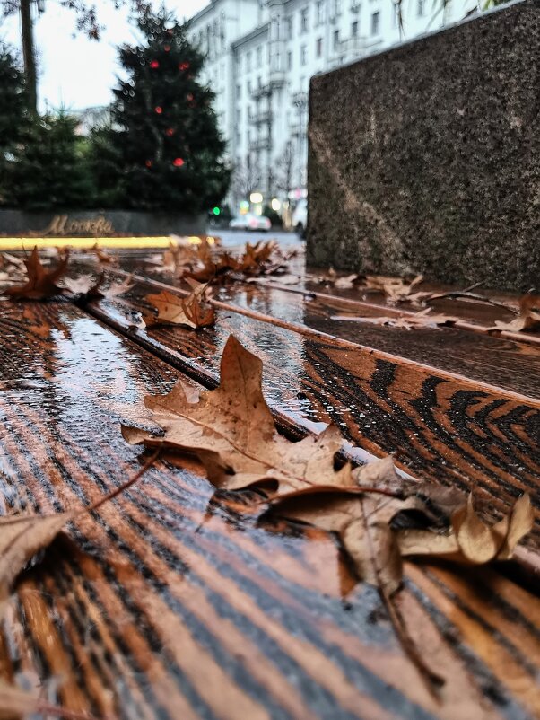 Осень на Тверской. - Любимова Ольга 