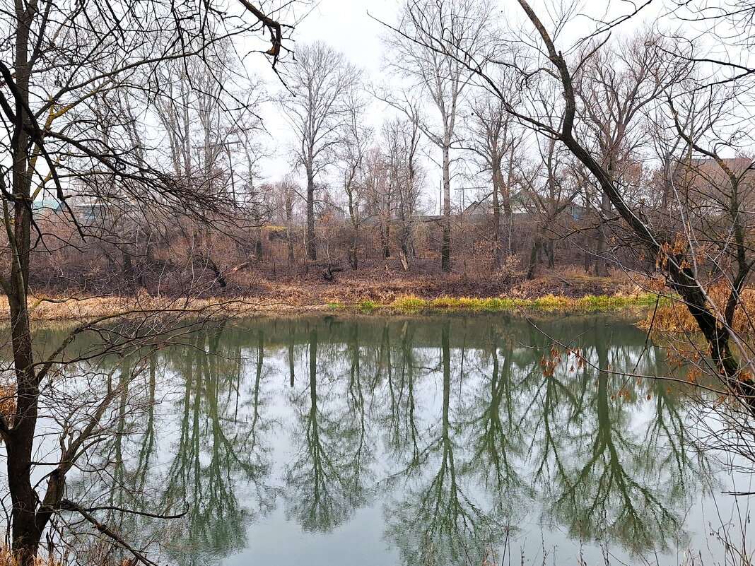 Ноябрьский пейзаж - Наталья 
