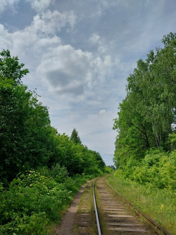 Узкоколейка - Маргарита Б