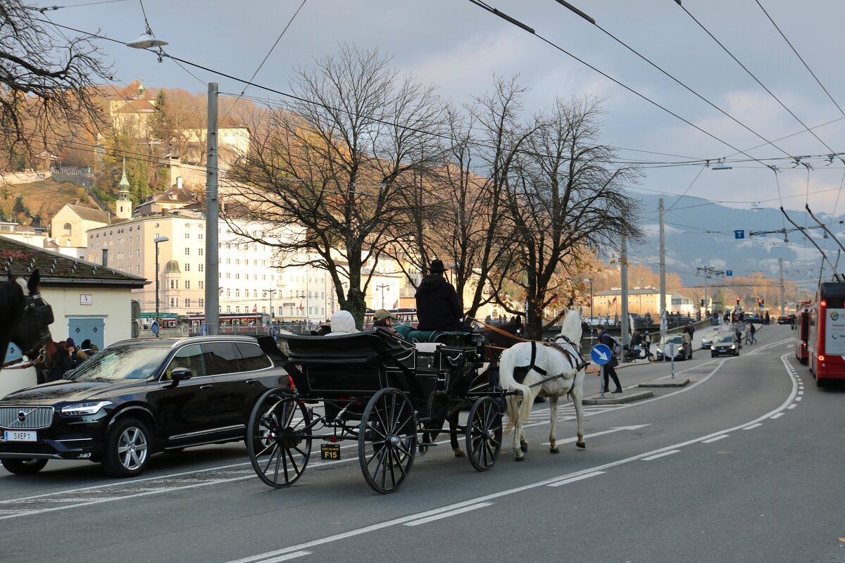 прогулка - Светлана Баталий прогулка - Светлана Баталий