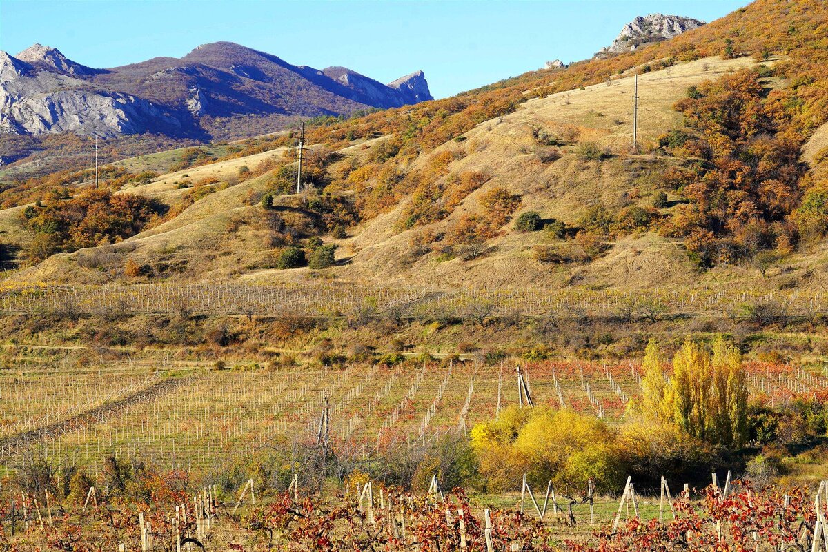 Горный пейзаж - Татьяна Тюменка