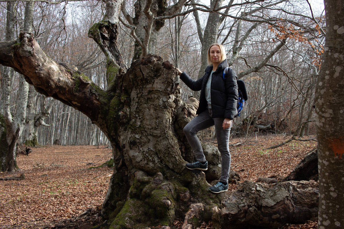 Древесная локация... - Дмитрий А