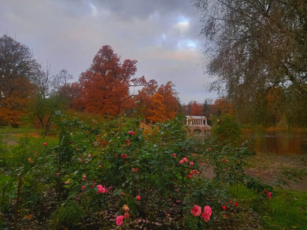 Рассвет - Сапсан 