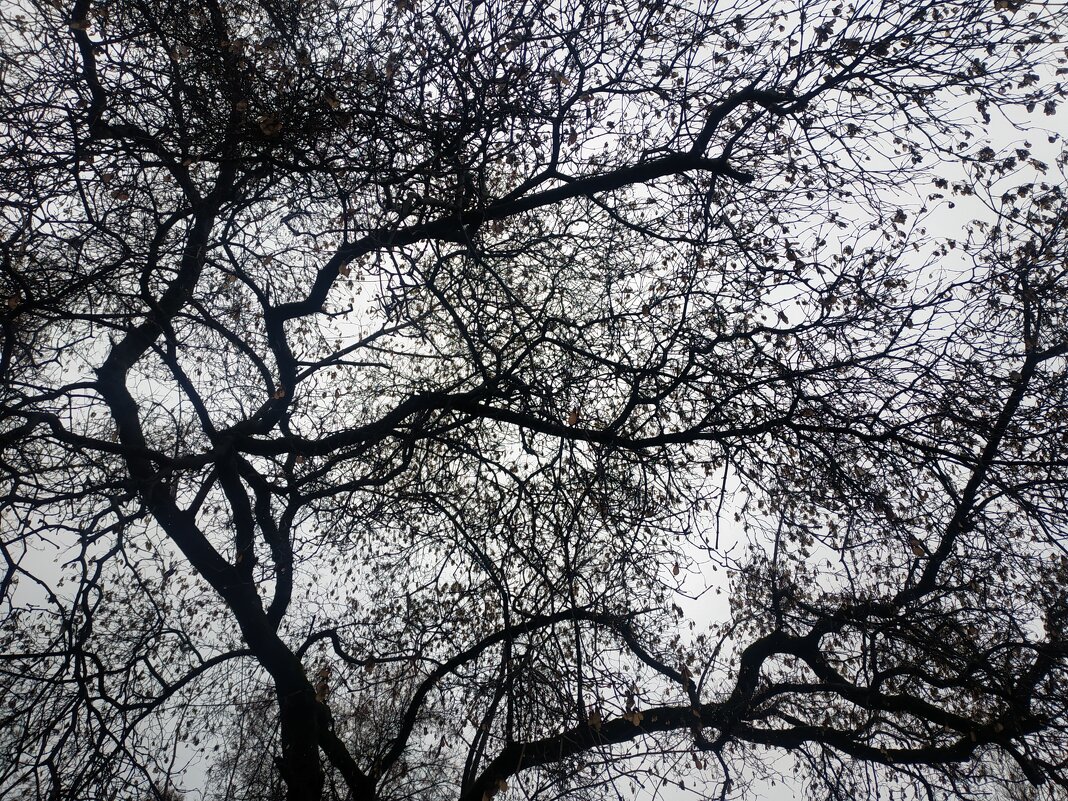 О сложностях жизни - Андрей Лукьянов