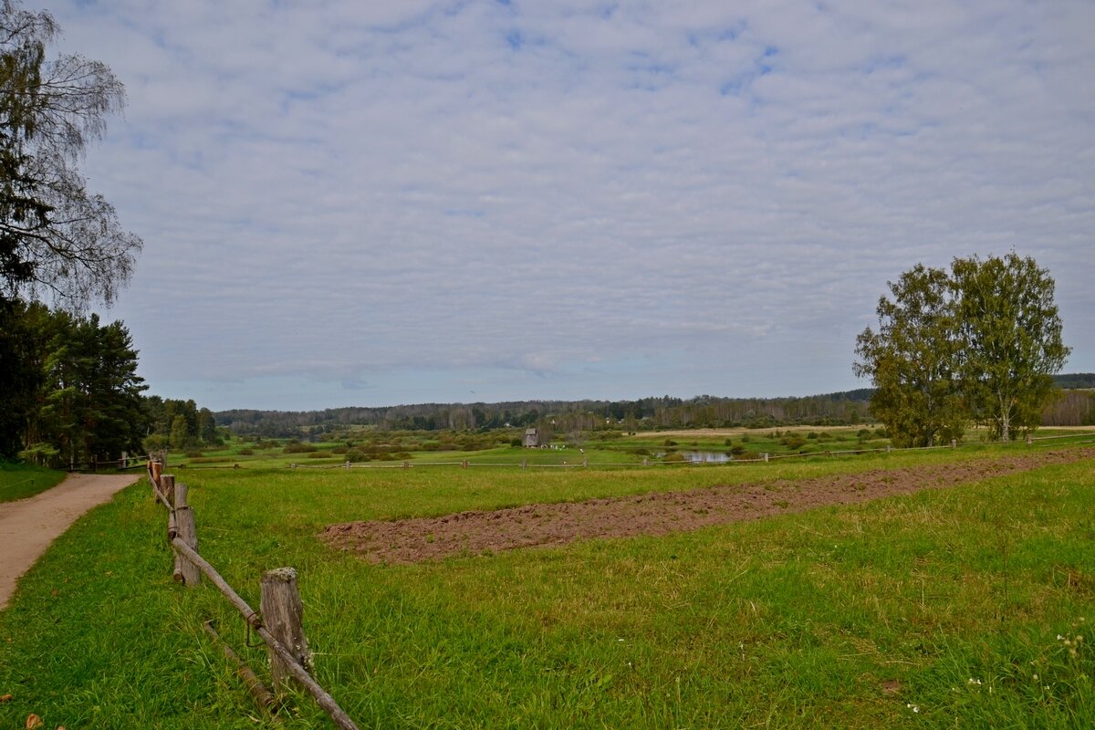МИХАЙЛОВСКОЕ. - Виктор Осипчук