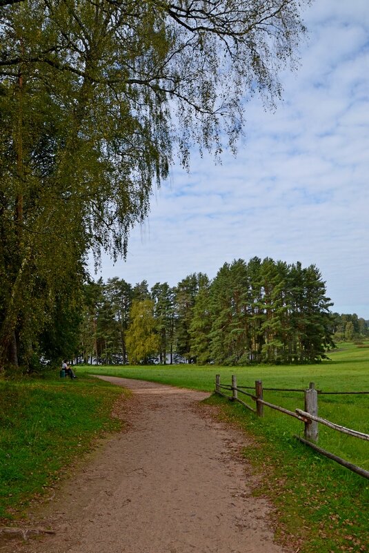 МИХАЙЛОВСКОЕ. - Виктор Осипчук МИХАЙЛОВСКОЕ. - Виктор Осипчук