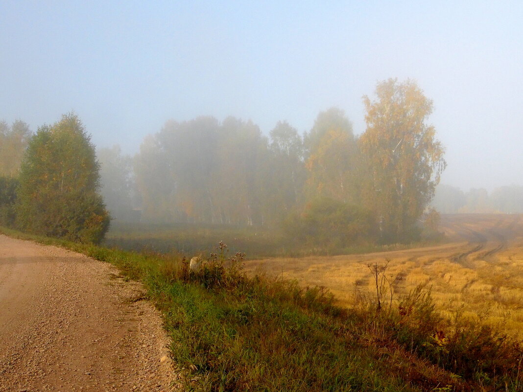 Осенний туман. - nadyasilyuk Вознюк Осенний туман. - nadyasilyuk Вознюк