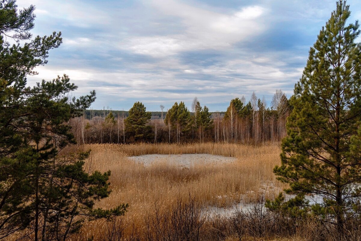 Хмурый ноябрь ) - Елена Хайдукова  ( Elena Fly )