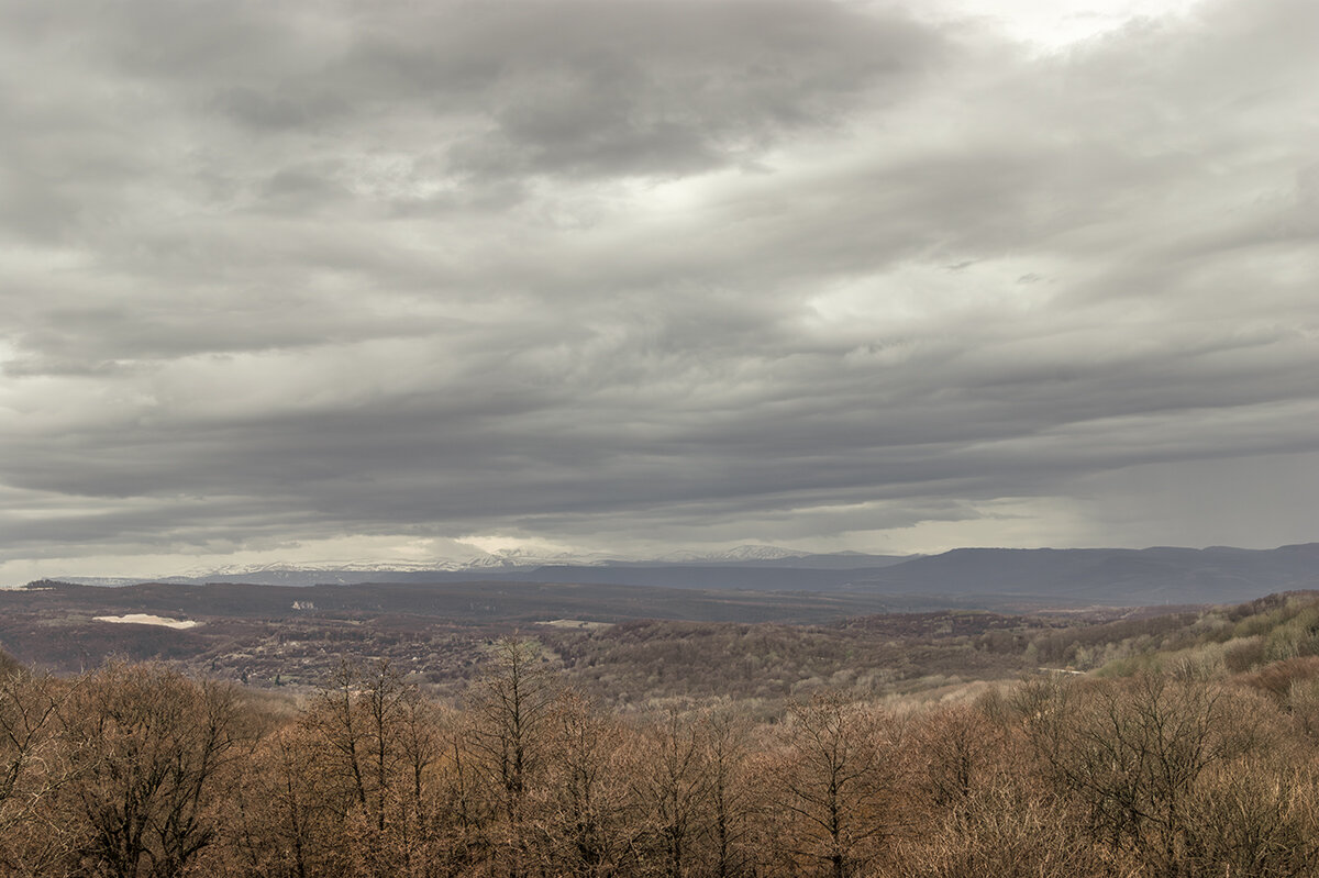 Природа Адыгеи 26.03.2025 - Игорь Сикорский Природа Адыгеи 26.03.2025 - Игорь Сикорский