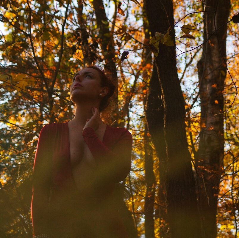 Осень - Виктория Поликарпова