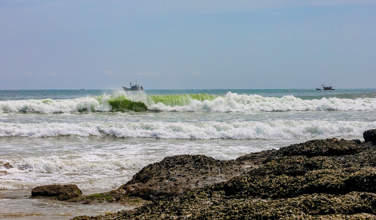 Тихоокеанская волна. - Людмила Гулина