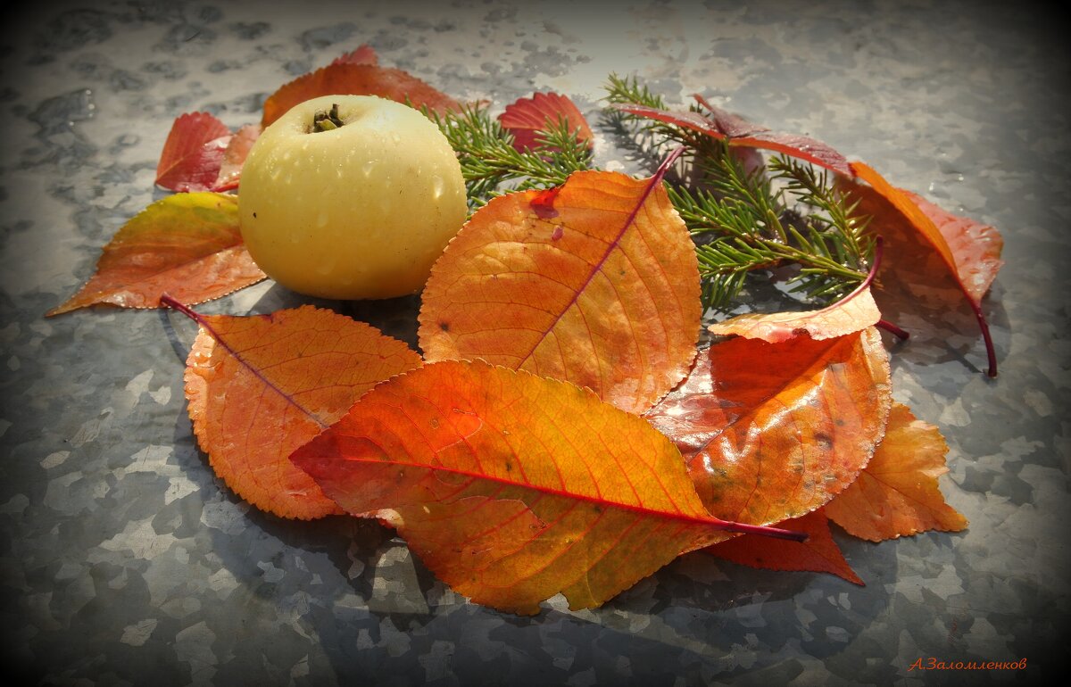 О природных натюрмортах осени... - Андрей Заломленков