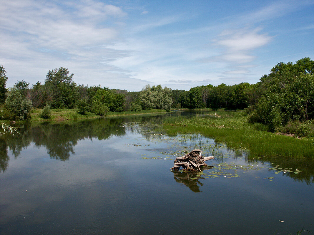 На протоках Волги - MILAV V