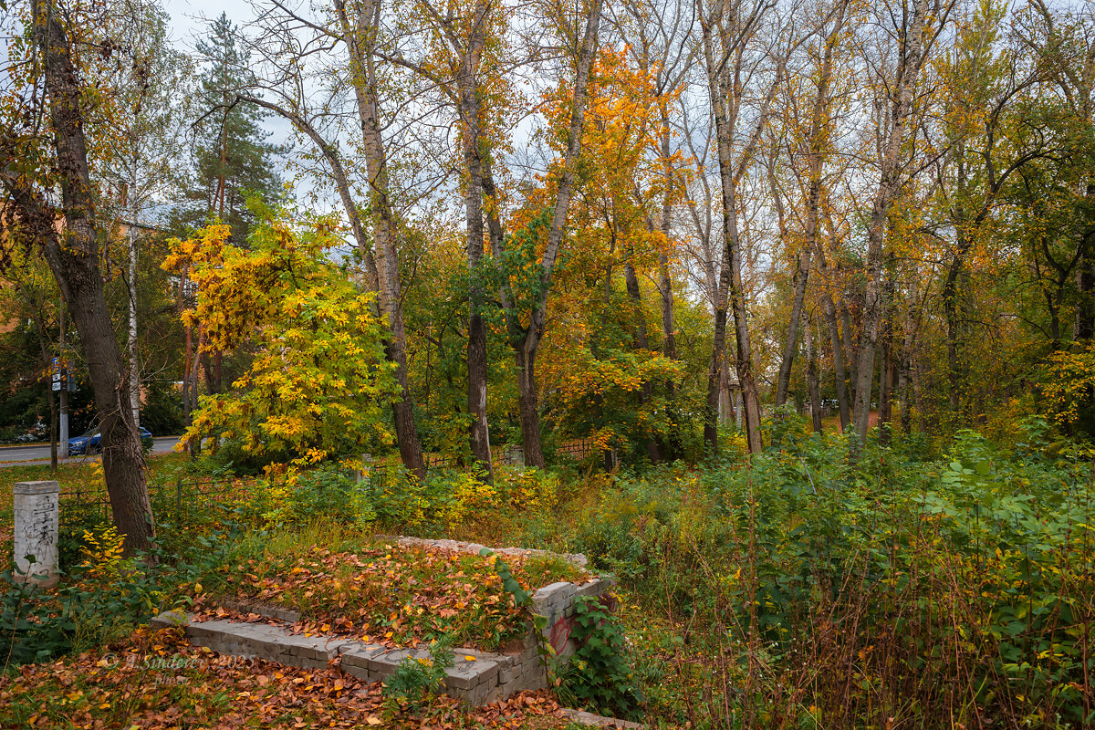 Осенний пейзаж в сентябре - Александр Синдерёв
