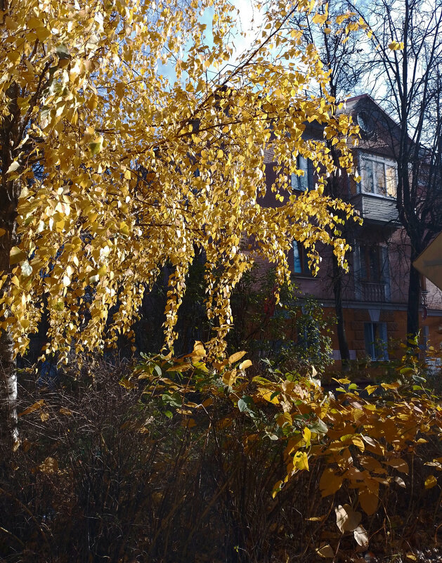 *** - Валентина Береснева