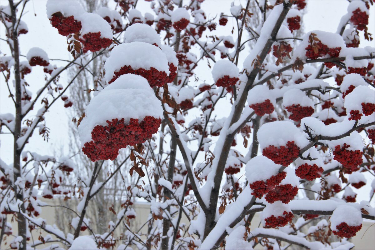 Мой город. - Венера Чуйкова