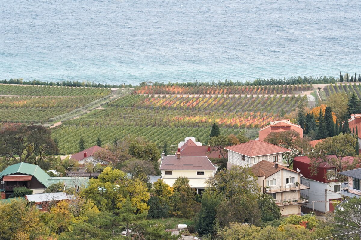 У моря - Татьяна Тюменка