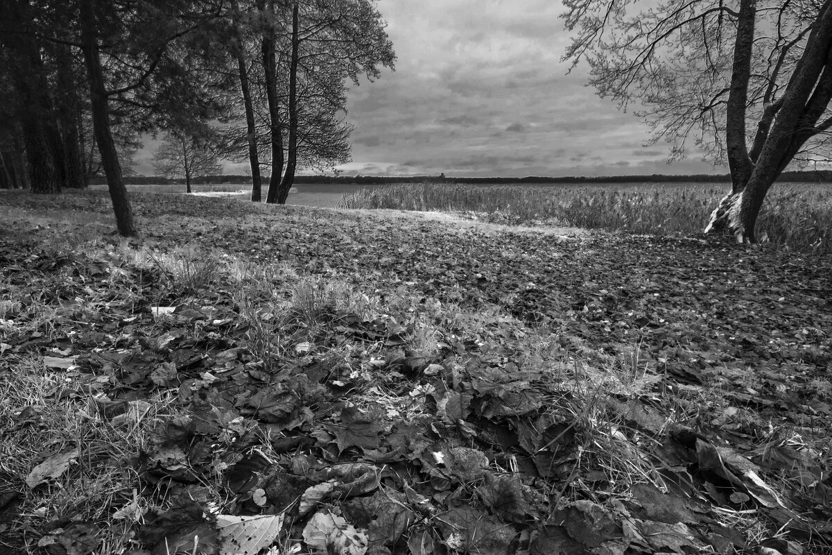 Б.Н - Николай 