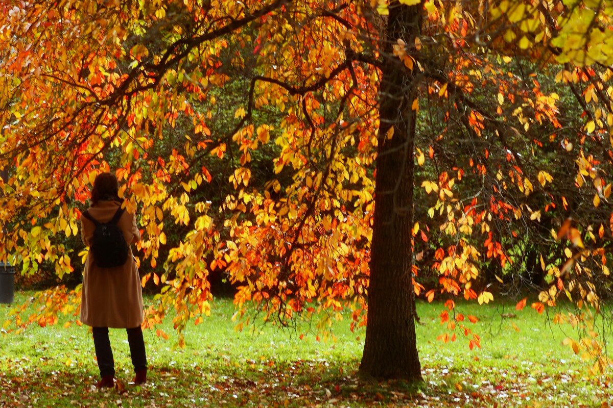 Смотри какая красота - Юрий. Шмаков Смотри какая красота - Юрий. Шмаков