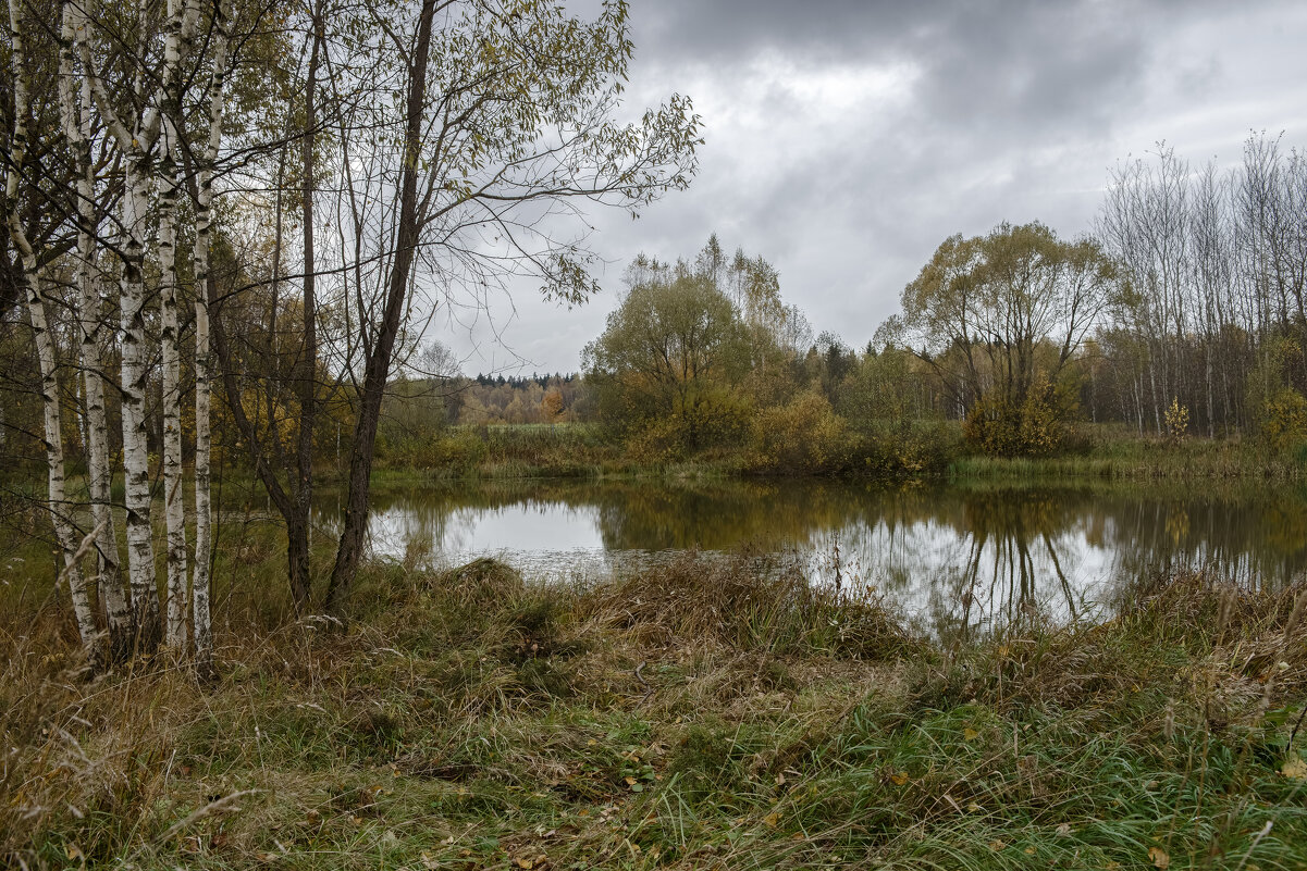 На маленьком пруду. - Николай 