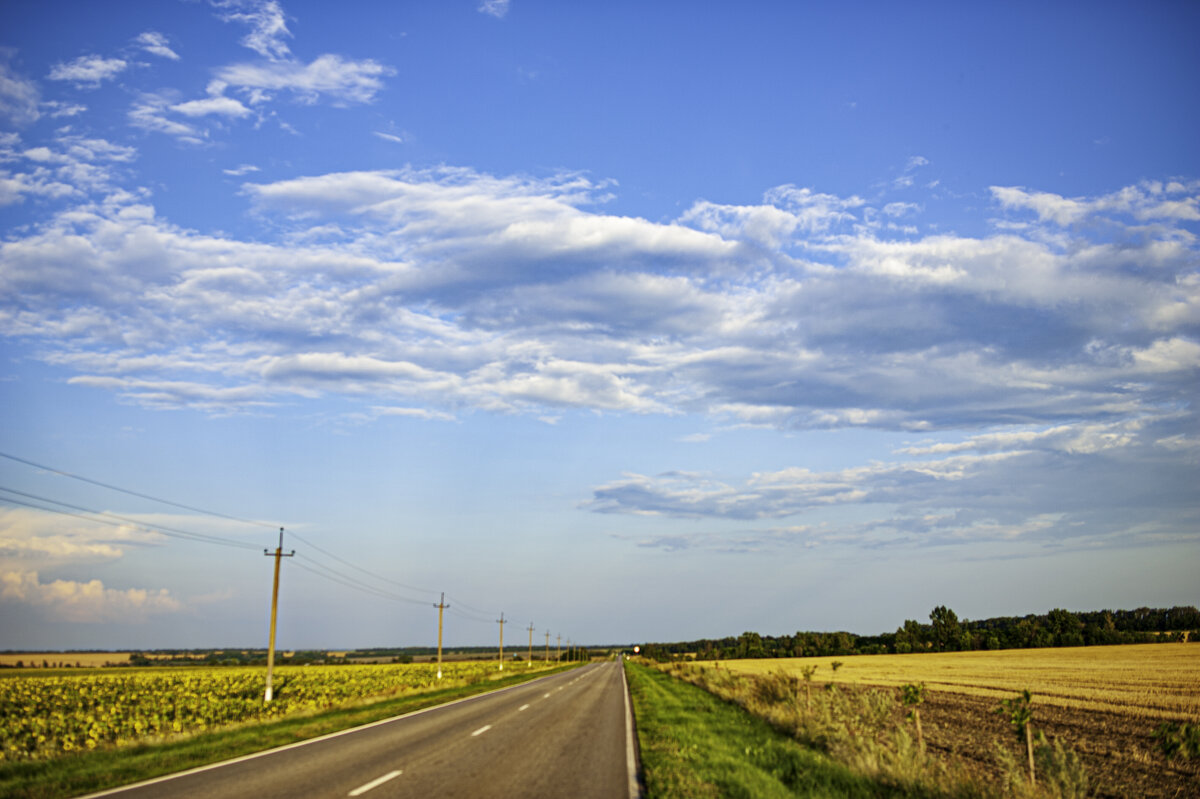 дорога в холки - Александр Леонов