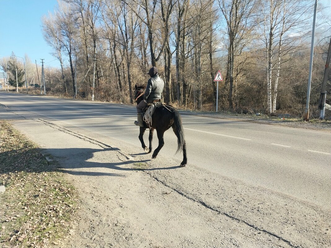 Talgar. - Murat Bukaev 