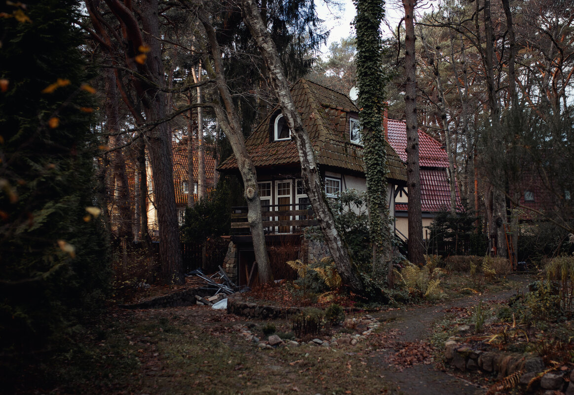 Заброшенка - Лилия .