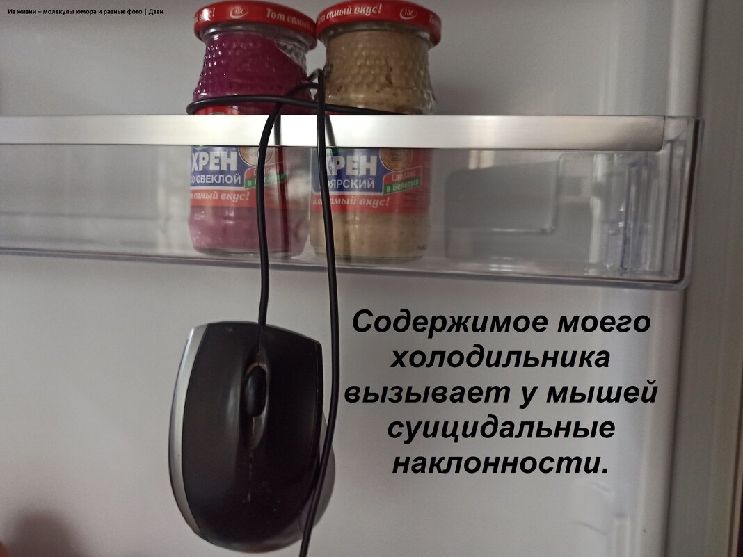 Из жизни - svk *