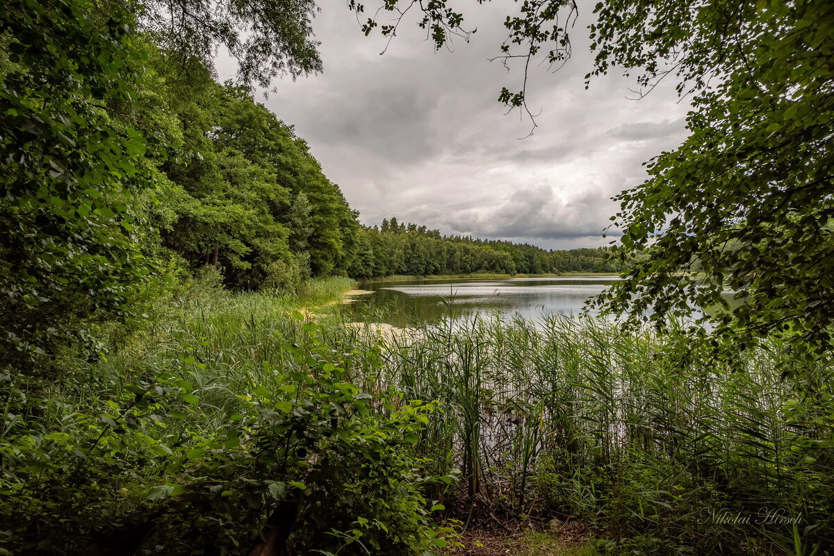Июльским днём... - Николай Гирш