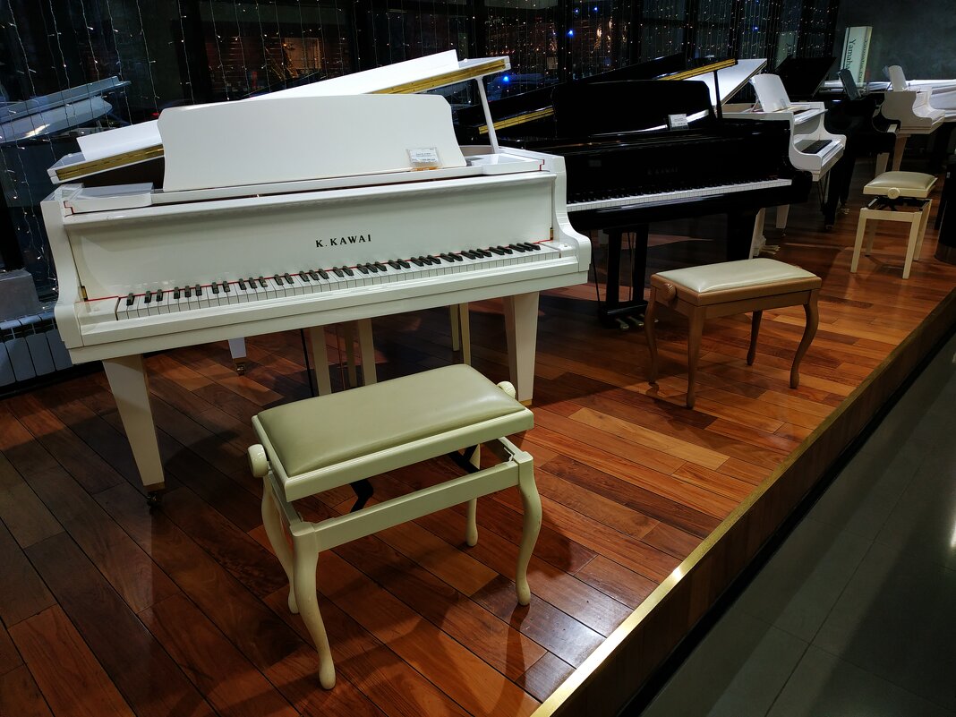 Рояль был весь раскрыт ... - Андрей Лукьянов