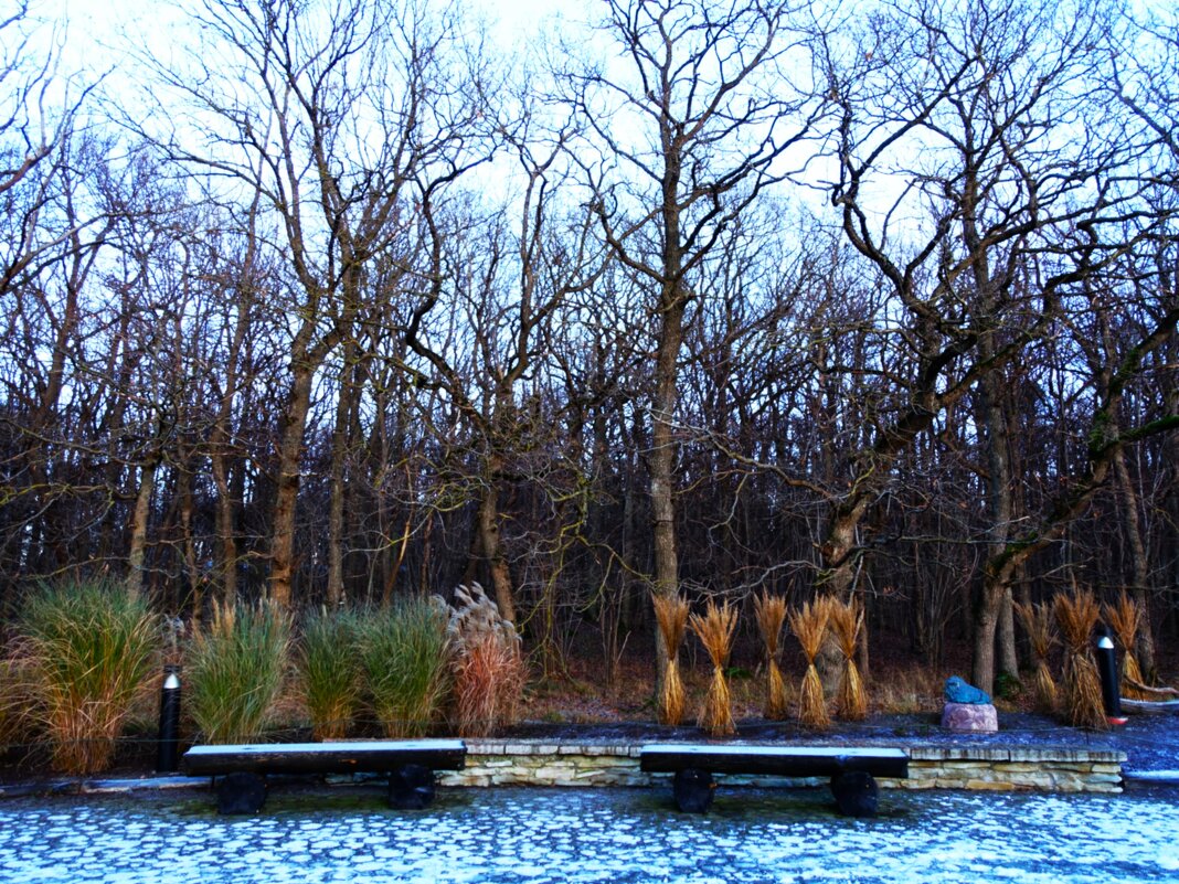 Центральная аллея зоопарка - Aida10 Центральная аллея зоопарка - Aida10