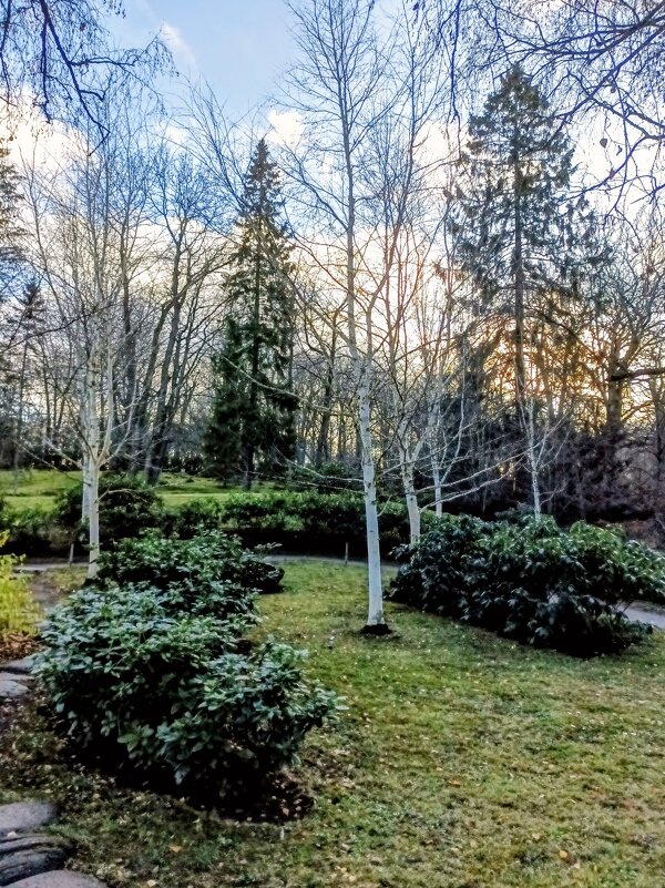 В Японском саду - Veera V