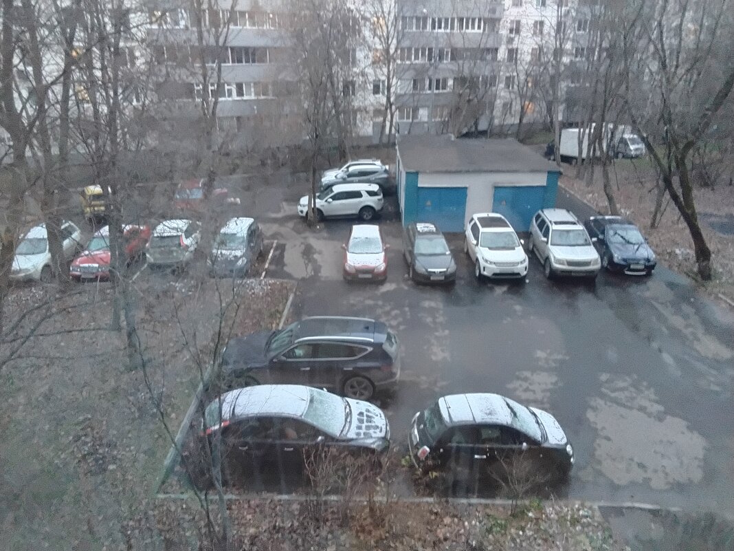 В нашем дворе - Дмитрий Никитин