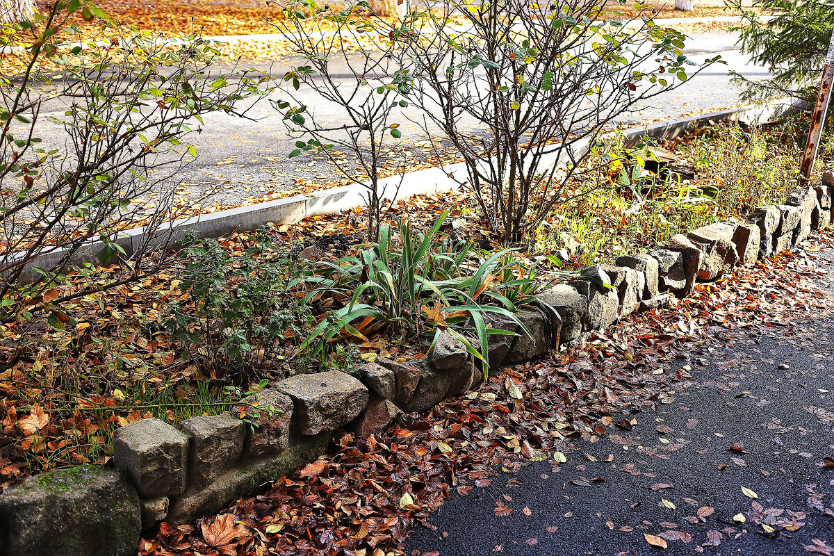 Старые бордюры - Юрий Гайворонскiий