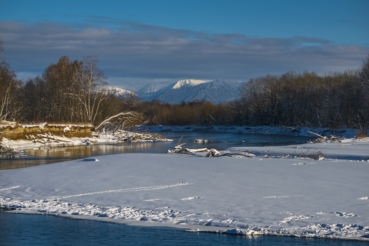 ... - Жора Житников