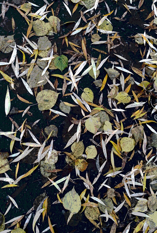 *** - Валентина Береснева