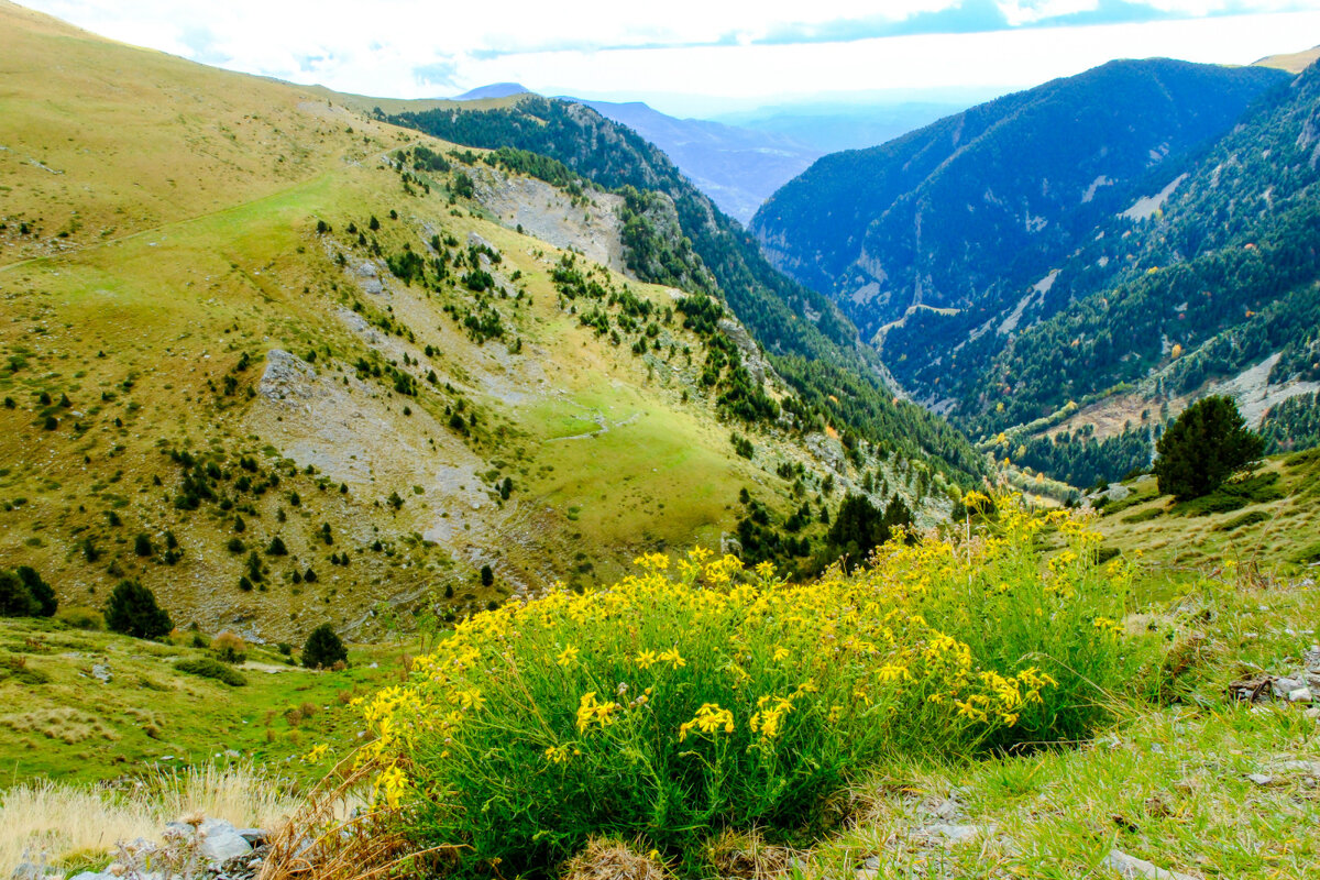 Солнечная погода назад вниз - Георгий А