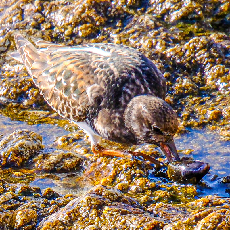 Нашла что нибудь поесть - Георгий А