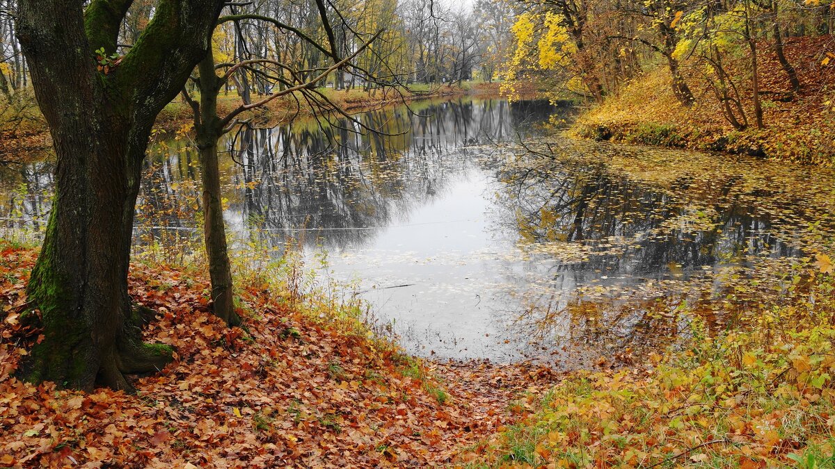 Живописные краски осени - Рита Симонова