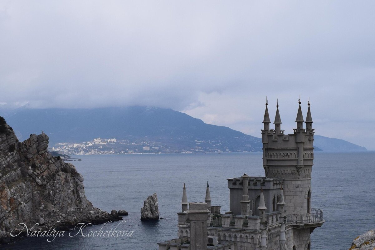 Природа Крыма - Amazing Cosmea