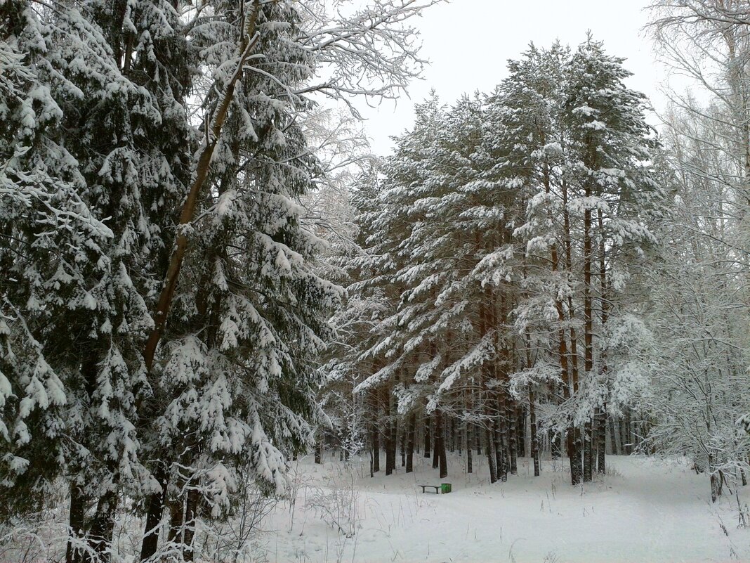 парковая зона - Владимир парковая зона - Владимир