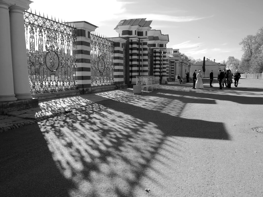 Ограда Екатерининского дворца. Пушкин - Наталья Ограда Екатерининского дворца. Пушкин - Наталья