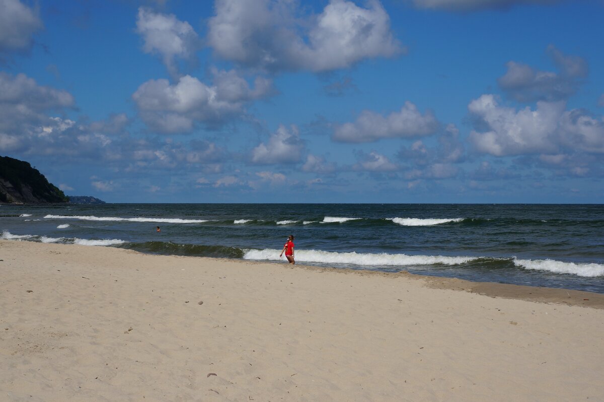 ~~ * ~~ - Алёна Савина