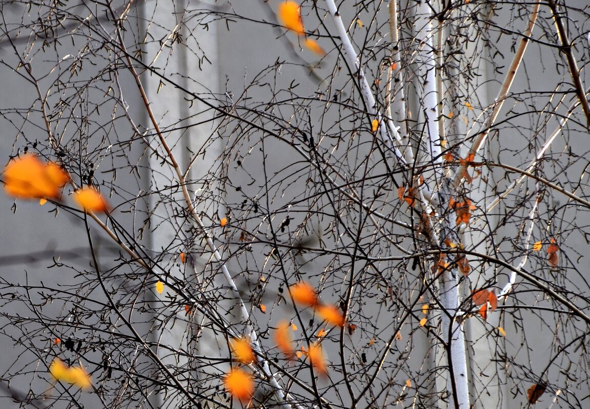 *** - Павленко Михаил 