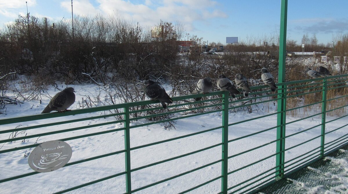 В ряд - Андрей Макурин