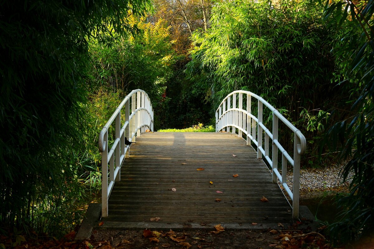 Мостик - Юрий. Шмаков