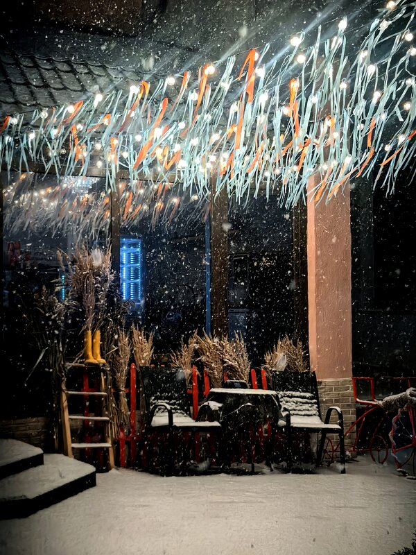 Метель - Елена 