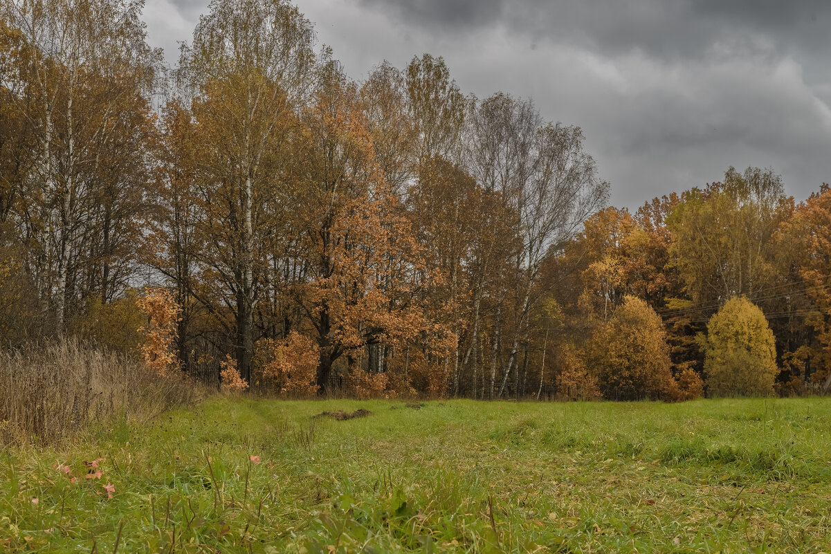 Был день осенний. - Николай 