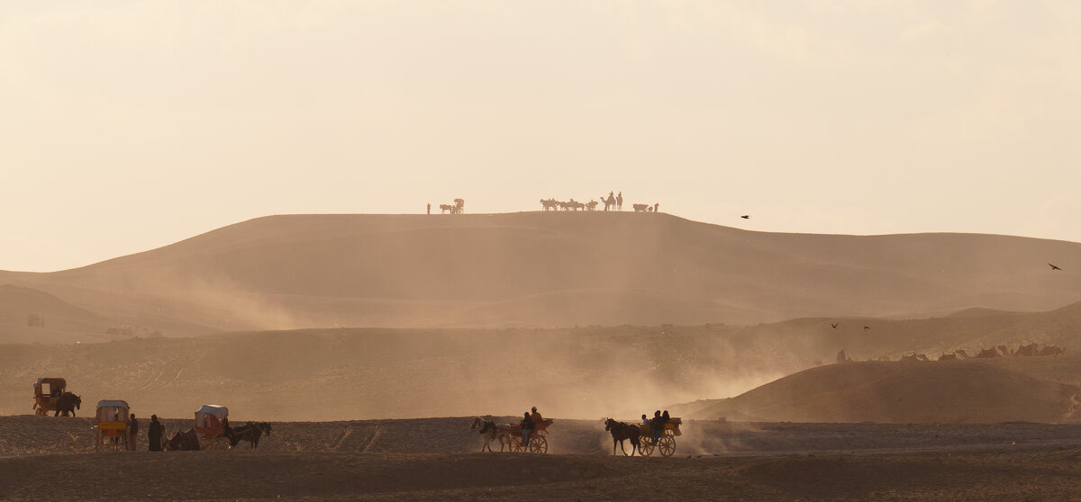 в песках - daimos 